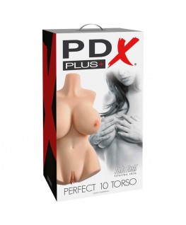 PDX PLUS + PERFECT 10 TORSO - PELLE CHIARA