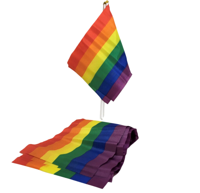 PRIDE - BANDIERA PICCOLA BANDIERA LGBT