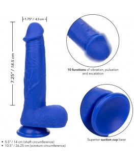 CALEXOTICS - ADMIRAL VIBRATORE DILDO REALISTICO DEL CAPITANO BLU