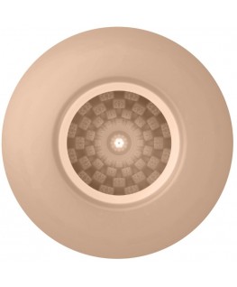 PRETTY LOVE - MASTURBATORE MASCHILE UOVO CARNE