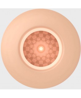 PRETTY LOVE - MASTURBATORE MASCHILE UOVO CARNE MODELLO 2