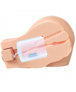 PDX ELITE - BACK THAT ASS UP MASTURBATORE REALISTICO VIBRANTE PER VAGINA E ANO