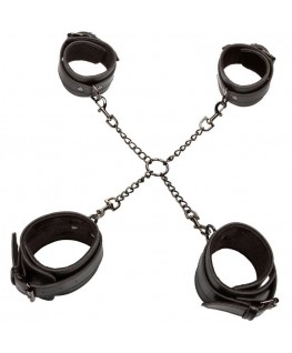 CALEXOTICS - EUPHORIA HOG TIE