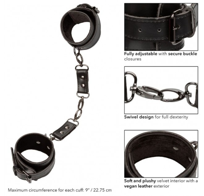 CALEXOTICS - EUPHORIA POLSINI