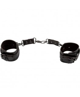 CALEXOTICS - EUPHORIA POLSINI