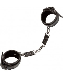 CALEXOTICS - EUPHORIA POLSINI ALLA CAVIGLIA