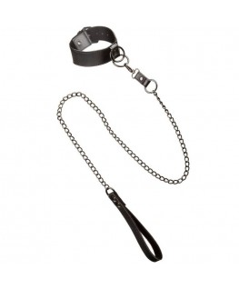 CALEXOTICS - EUPHORIA COLLARE CON GUINZAGLIO A CATENA