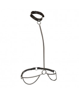 CALEXOTICS - EUPHORIA COLLARE A CATENA E GUINZAGLIO