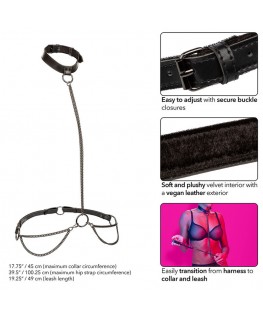 CALEXOTICS - EUPHORIA COLLARE A CATENA E GUINZAGLIO