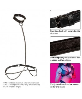 CALEXOTICS - EUPHORIA COLLARE A CATENA E GUINZAGLIO TAGLIA PIÙ GRANDE