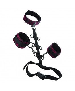 CALEXOTICS - SCANDAL COMPORAL SUPPORT CON COLLO