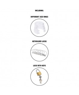 HIDDEN DESIRE - EXTREME GABBIA PER CAZZO CASTITÀ ACRILICO REGOLABILE TRASPARENTE