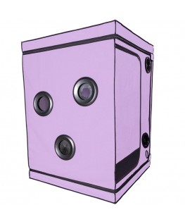 SECRET DOME - KINK CLUB CABIN SCANDALE VIOLA