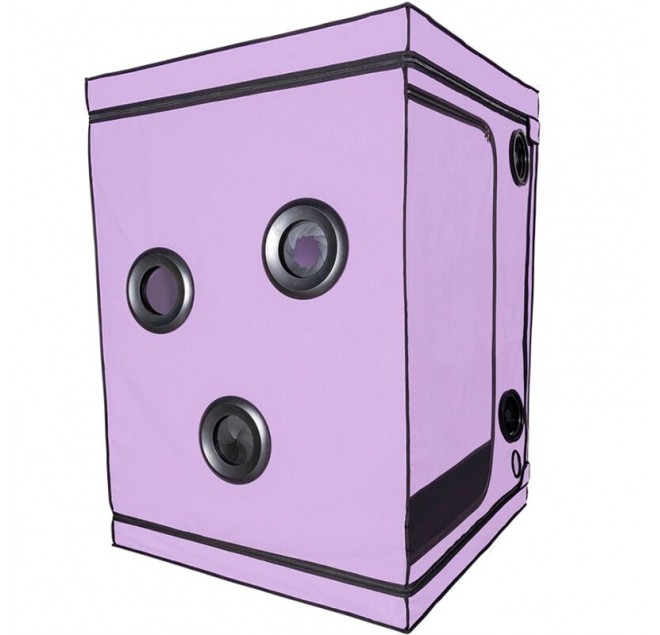 SECRET DOME - KINK CLUB CABIN SCANDALE VIOLA