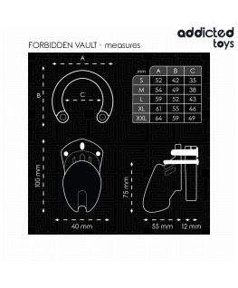 ADDICTED TOYS LOCKED - GABBIA PER PENE FORBIDDEN VAULT 10 CM