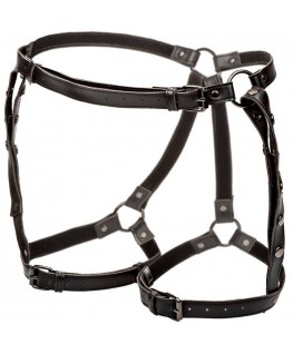 CALEXOTICS - EUPHORIA PETTORINA DA EQUITAZIONE PLUS TAGLIA