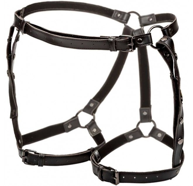 CALEXOTICS - EUPHORIA PETTORINA DA EQUITAZIONE PLUS TAGLIA