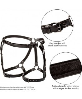 CALEXOTICS - EUPHORIA PETTORINA DA EQUITAZIONE PLUS TAGLIA