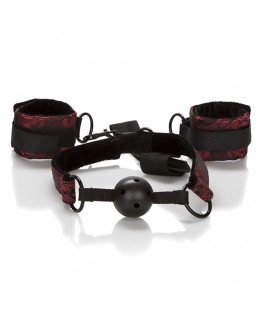 CALEXOTICS - SCANDAL BALL GAG TRASPIRANTE CON MANETTE