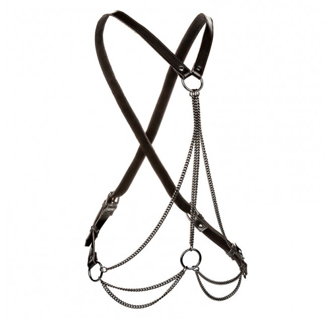 CALEXOTICS - EUPHORIA MULTICHAIN HARNESS PREMIUM