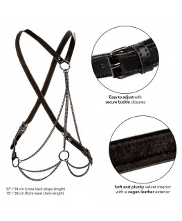 CALEXOTICS - EUPHORIA MULTICHAIN HARNESS PREMIUM