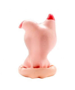 CONDOMERIE - PRESERVATIVI NOVITÀ DIPINTI A MANO TESTA DI MAIALE