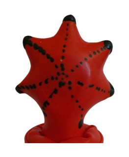 CONDOMERIE - PRESERVATIVI NOVITÀ DIPINTI A MANO STELLA MARINA