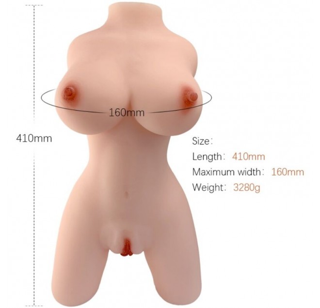 ARMONY - MODELLO REALISTICO DI TORSO FEMMINILE 4