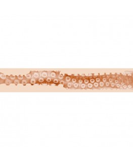 FLESHLIGHT FANTASY - VAGINA DI SASHA NAKAMOTO