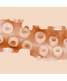 FLESHLIGHT FANTASY - VAGINA DI SASHA NAKAMOTO