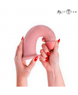 MR INTENSE - GRANDE DILDO TERENCE 22,5 CM -Ø- 5,6 CM