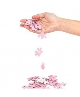 SECRET PLAY - GIOCO DI PUZZLE "SEXXXZZLE"