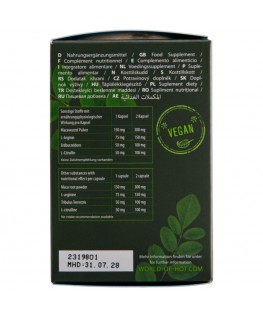 HOT - MORINGA MEN CAPS UOMO 60 UNITÀ