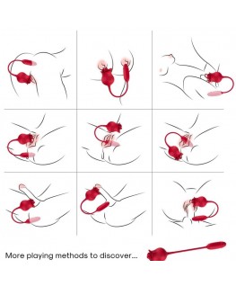 ARMONY - CLITORITE VIBRANTE LECCATA DI ROSA E VIBRATORE ROSSO